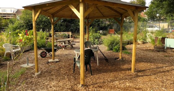 Ideas for the Community Growing Area at Kew Pendra